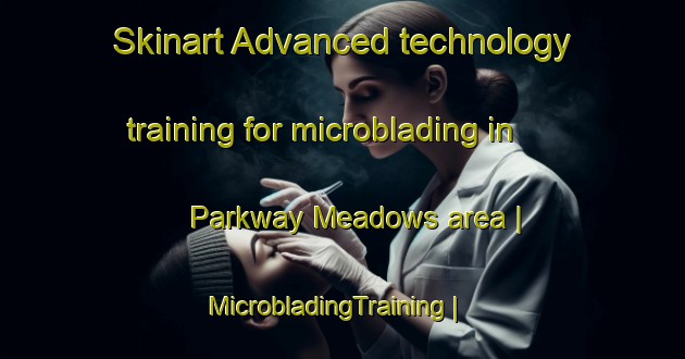 Skinart Advanced technology training for microblading in Parkway Meadows area | MicrobladingTraining | MicrobladingClasses | SkinartTraining-United States
